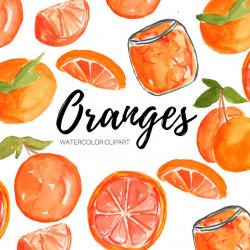 Watercolor oranges - orange clipart - fruit clipart - Citrus clipart -  Commercial Use