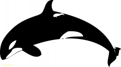 Emerging Orca Pictures To Print Killer Whale With Clipart Many #17141