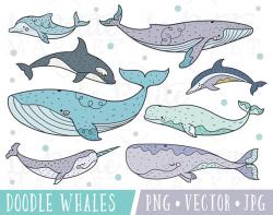 Cute Whale Clipart Images, Beluga Whale Clipart, Orca ...