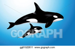 Vector Clipart - Orca whale with baby. Vector Illustration ...