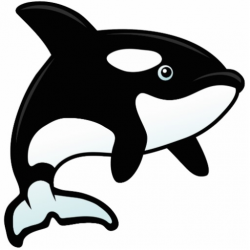 Baby killer whales clipart 3 - WikiClipArt