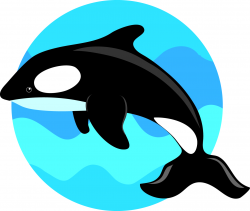 Free Cartoon Killer Whale, Download Free Clip Art, Free Clip ...
