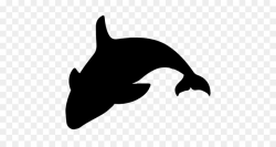 Whale Cartoon clipart - Dolphin, Silhouette, Animal ...