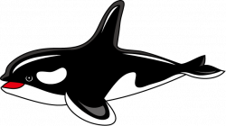 Free Orca Cliparts, Download Free Clip Art, Free Clip Art on ...