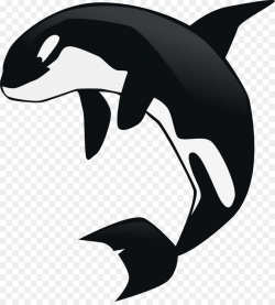 Download orca transparent clipart Killer whale Cetacea Clip ...