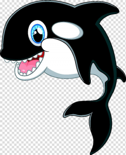 Cartoon Killer whale , Cute dolphin transparent background ...