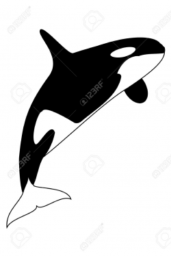 Whales Clipart | Free download best Whales Clipart on ...