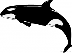 Whale Cartoon clipart - Dolphin, Silhouette, Graphics ...