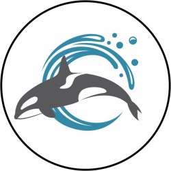 Cool Simple Nautical Ocean Waves Silhouette Cartoon Icon - Orca Whale #1  Border Around Image As Shown Vinyl Sticker