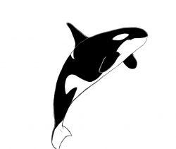 Orca killer whale clipart 2 - WikiClipArt
