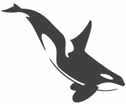 Orca - Pebble Beach Systems | Tattoos | Orca tattoo, Whale ...