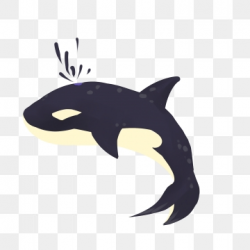 Killer Whale Png, Vector, PSD, and Clipart With Transparent ...