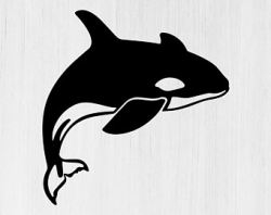 Killer whale svg | Etsy