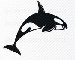 Killer Whale Svg file Images - Orca Silhouette - Mammal Clipart - SVG Image  For Cricut - Stencil SVG - Eps, Png ,Dxf Clip Art marine svg