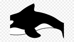 Bottlenose Dolphin Clipart Cartoon - Orca Killer Whales ...