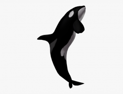 Jpg Library Download Orca Clipart Whale Dolphin - Killer ...