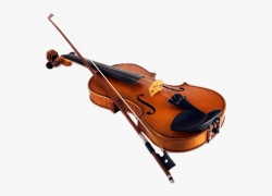 Download - Orchestra Violin String Instruments #1742341 ...