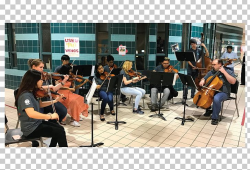 Violin Orchestra Cello Classical Music Fiddle PNG, Clipart ...