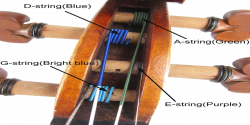 Best Violin Strings For Beginners Buying Guide Reviews | Reviewexpress