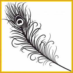 Incredible Peacock Feather Clipart Black And White Panda For Orchid ...