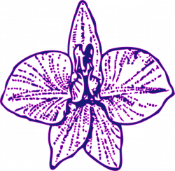 Blue Orchid Clip Art at Clker.com - vector clip art online, royalty ...