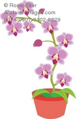 Clip Art Illustration Of A Purple Orchid Plant