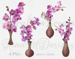 Orchids Clipart, Real Flower Clip Art, Orchid PNG, Digital Clipart, Real  Flower Clip Art, Floral Elements, Instant Download