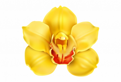 Yellow Orchid, Flower Power, Orchids, Clip Art, Lily ...