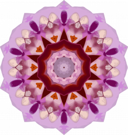 Clipart - Orchid kaleidoscope 6