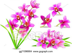 EPS Illustration - Branch orchid. Vector Clipart gg71096904 ...