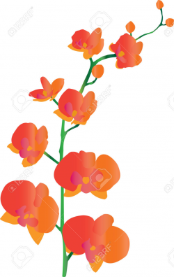 Collection of Orchid clipart | Free download best Orchid ...