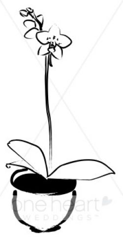 Black and White Potted Phalaenopsis Orchid Clipart | Wedding ...