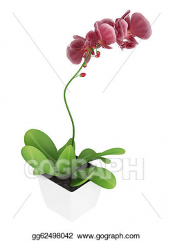 Drawing - Purple phalaenopsis orchid. Clipart Drawing ...