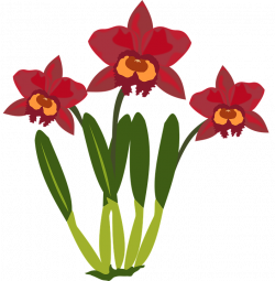 Imagen gratis en Pixabay - Clipart, Flor, Flora, Naturaleza | Pinterest