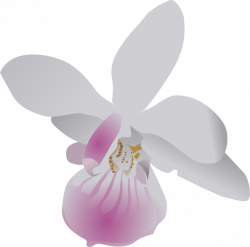 Orchidea Clip Art at Clker.com - vector clip art online, royalty ...