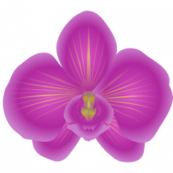 Blue orchid clipart 7778431 - home-plus.info