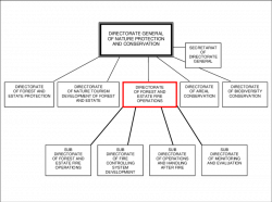 4 Organizational structure of the Directorate of Forest and Estate ...