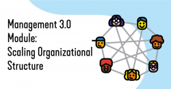Management 3.0 Module: Scaling Organizational Structure
