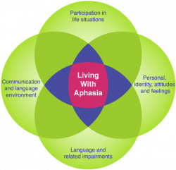 Have you heard of the Life Participation Approach to Aphasia (LPAA ...