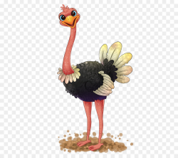 Common ostrich Free content Clip art - Ostrich Cliparts png download ...