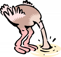 Cartoon Ostrich Buries Head - Vector Image