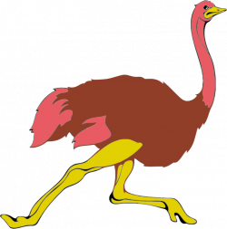 Clipart - Running Ostrich