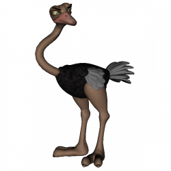 Emu Clipart at GetDrawings.com | Free for personal use Emu Clipart ...