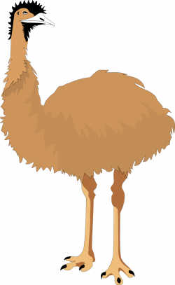 Common ostrich Emu Bird Cartoon Clip art - Brown ostrich 786*1280 ...