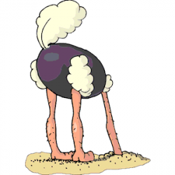Ostrich Head Out of Sand clipart, cliparts of Ostrich Head ...