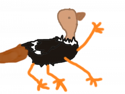 Forum: Draw a four legged ostrich with horns and a kangaroo tail ...