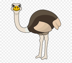 Royalty Free Ostrich Clipart - Ostrich Clipart - Png ...