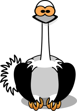 Free photo Bird Animal Africa Safari Wildlife Nature Ostrich - Max Pixel