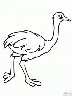 Free Ostrich Coloring Page, Download Free Clip Art, Free ...