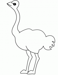 Free Printable Ostrich Coloring Page 282788 Ostrich Coloring ...